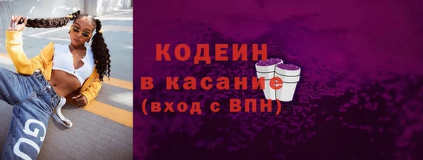 гашик Новодвинск