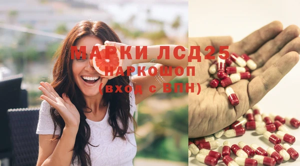 MDMA Новозыбков