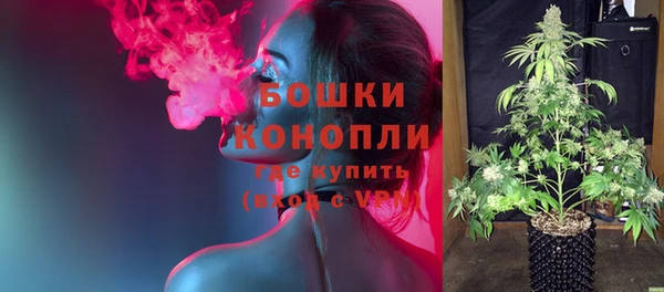 гашик Новодвинск