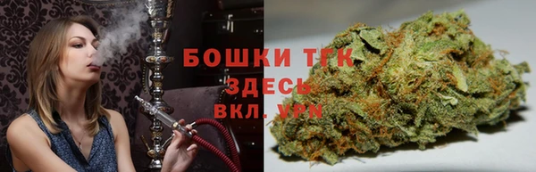 гашик Новодвинск