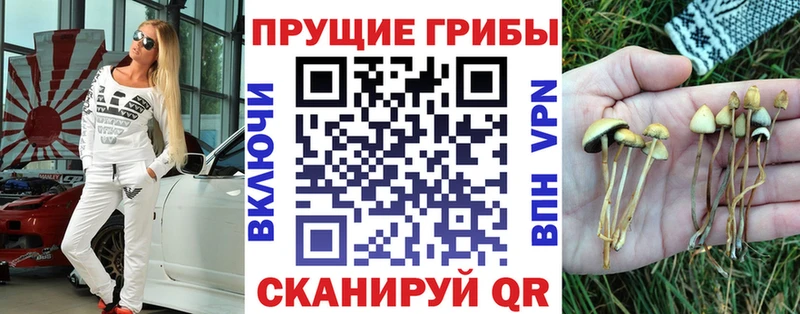наркотики  Невьянск  Псилоцибиновые грибы мухоморы 